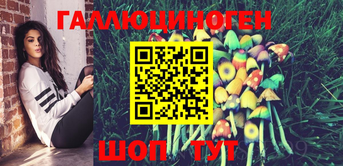Псилоцибиновые грибы Cubensis  Вход с VPN  Котлас 