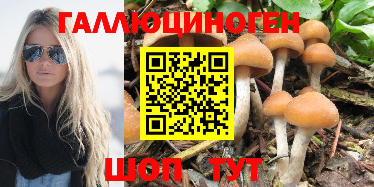 Канабис  Вход с VPN  АМФ   Cocaine  NBOMe  Меф  Котлас  ГАШ  Меф МЯУ МЯУ  