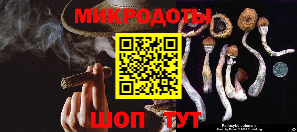Галлюциногенные грибы Magic Shrooms Котлас